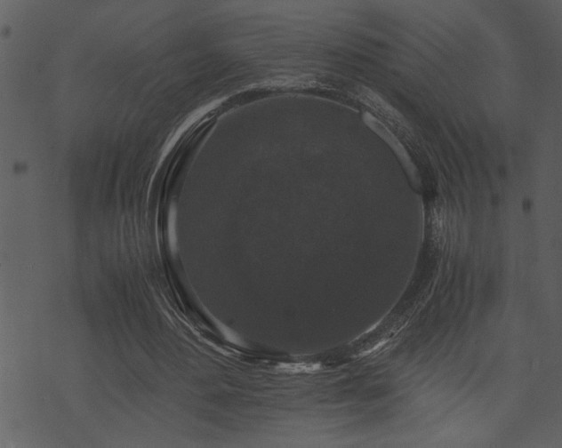 X0000071760484200606301134