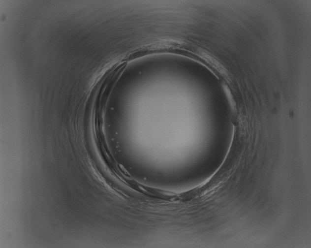 X0000071760485200606301134