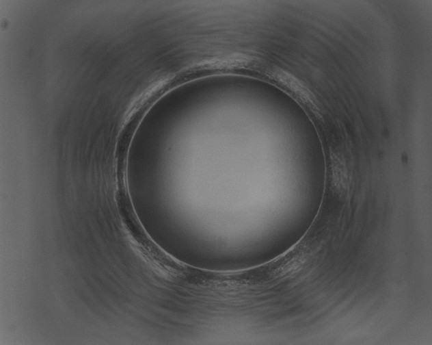 X0000071760486200606301134