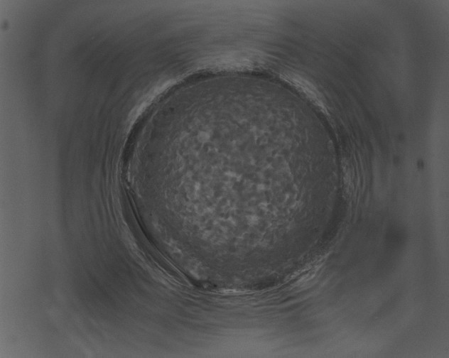 X0000071760487200606301134