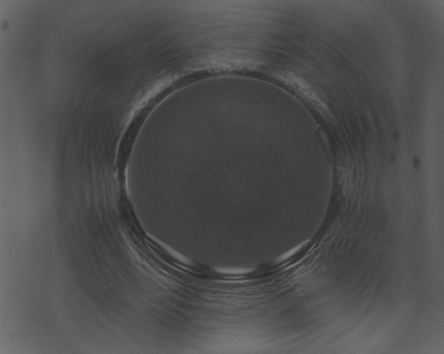 X0000071760488200606301134