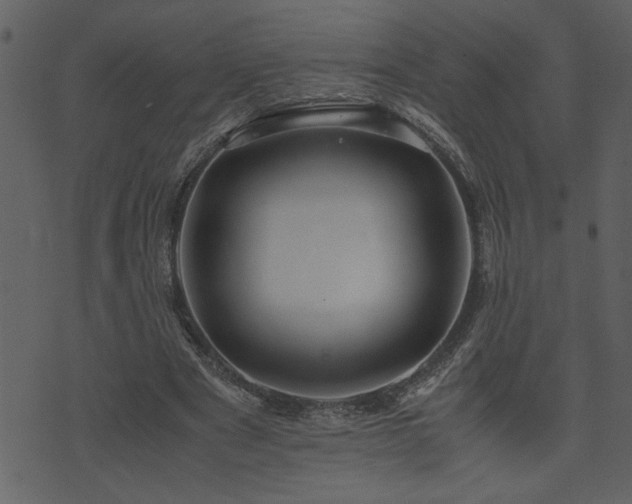 X0000071760489200606301134