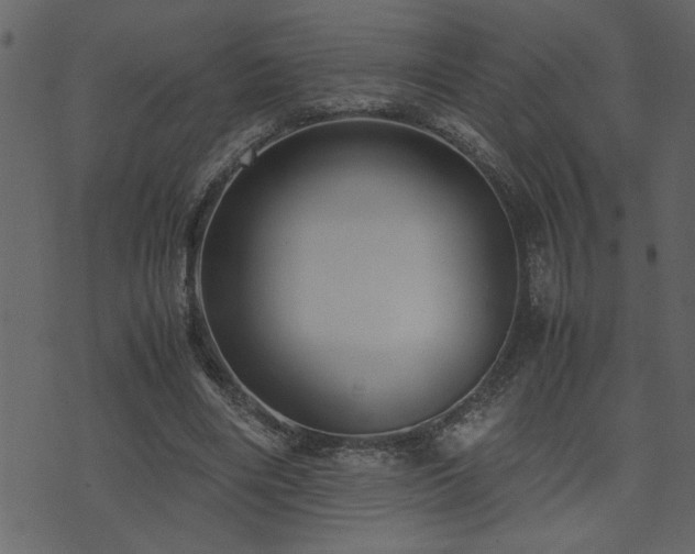 X0000071760490200606301134