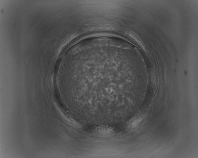 X0000071760491200606301134