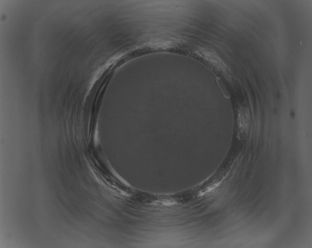 X0000071760492200606301134