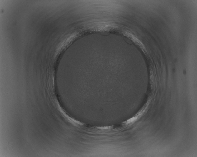 X0000071760493200606301134