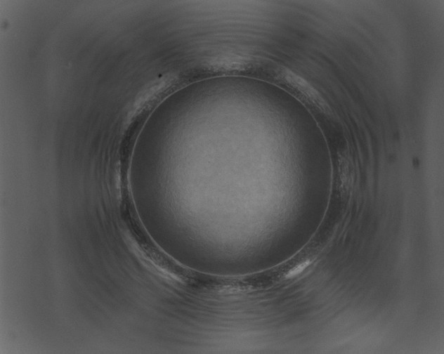 X0000071760494200606301134