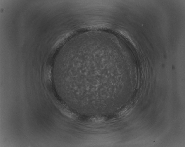 X0000071760495200606301134