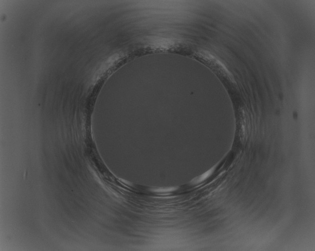 X0000071760496200606301134