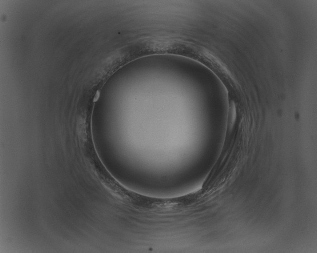 X0000071760497200606301134