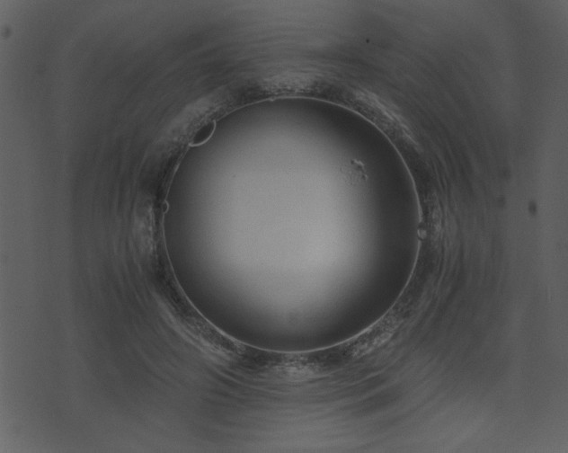 X0000071760498200606301134