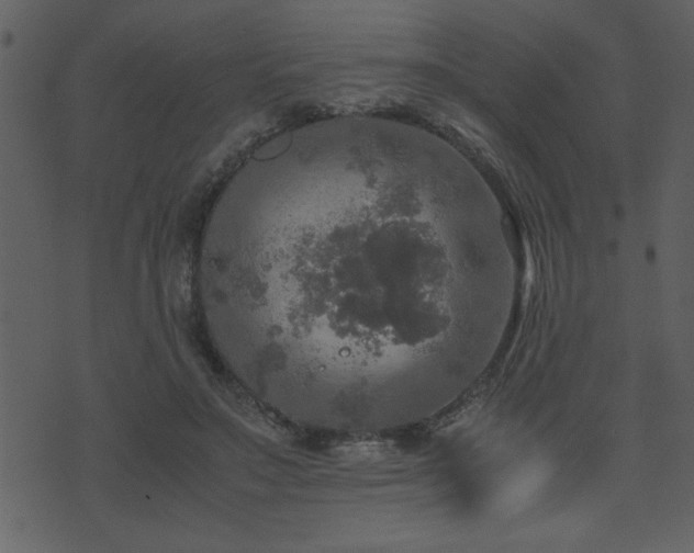 X0000071760499200606301134