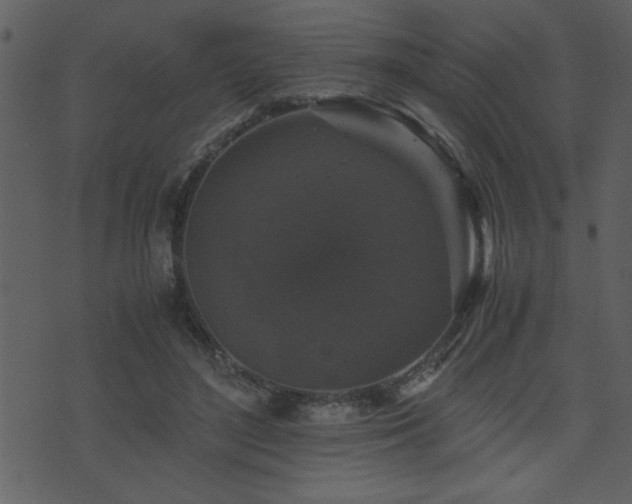 X0000071760500200606301134