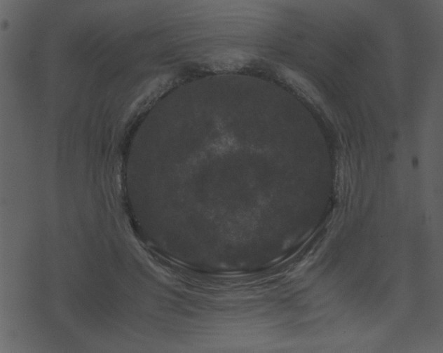 X0000071760501200606301134