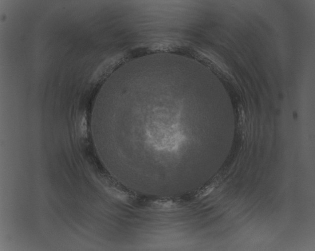 X0000071760502200606301134