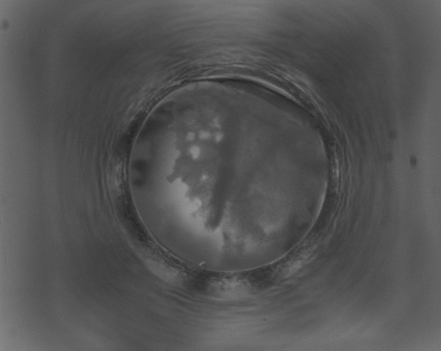 X0000071760503200606301134