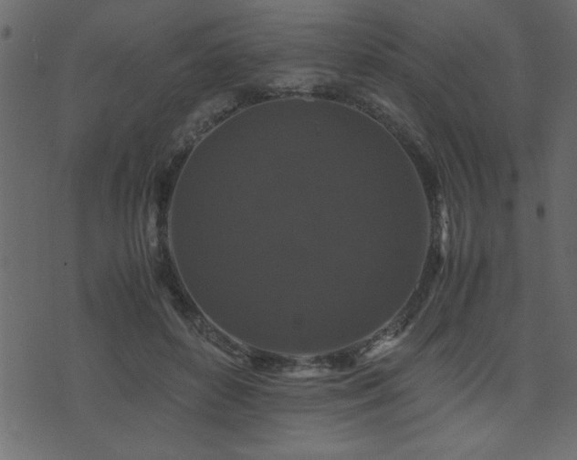 X0000071760504200606301134