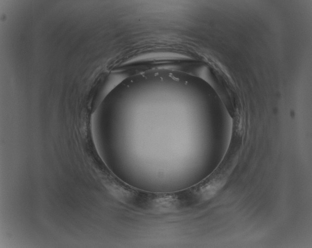 X0000071760505200606301134