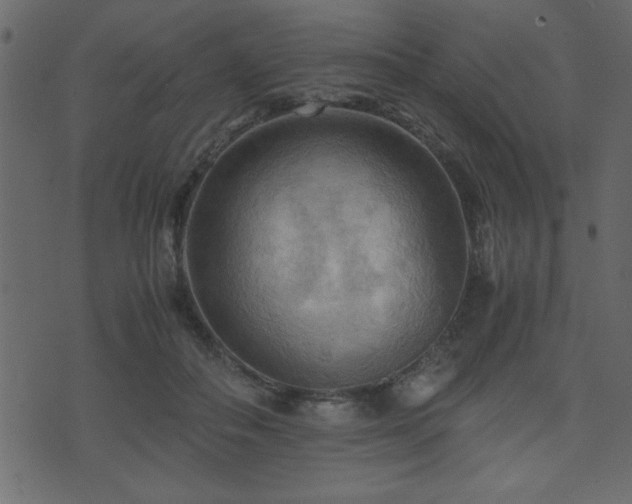 X0000071760506200606301134