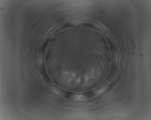 X0000071760507200606301134