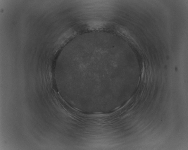 X0000071760508200606301134