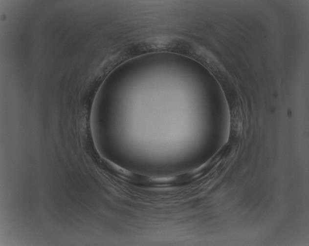 X0000071760509200606301134