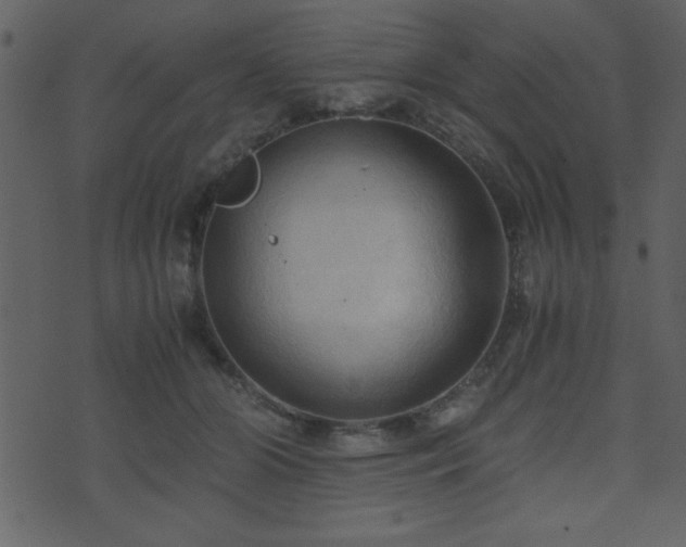 X0000071760510200606301134