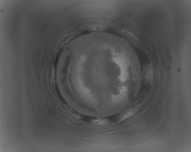 X0000071760511200606301134