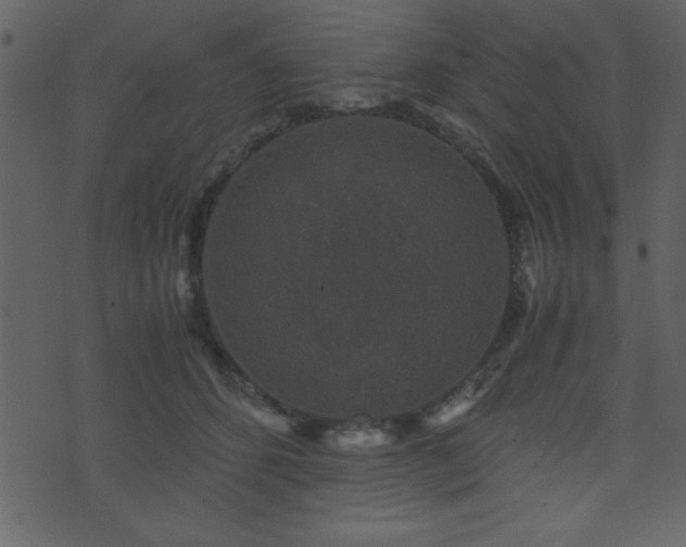 X0000071760512200606301133