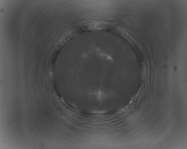 X0000071760513200606301133