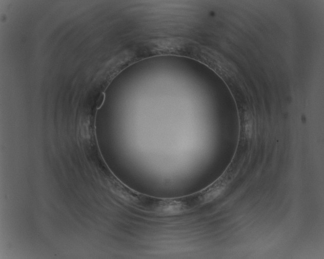 X0000071760514200606301133