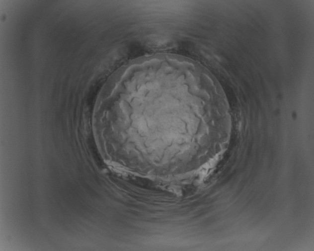 X0000071760515200606301133