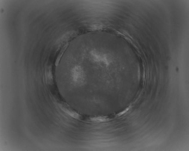 X0000071760516200606301133