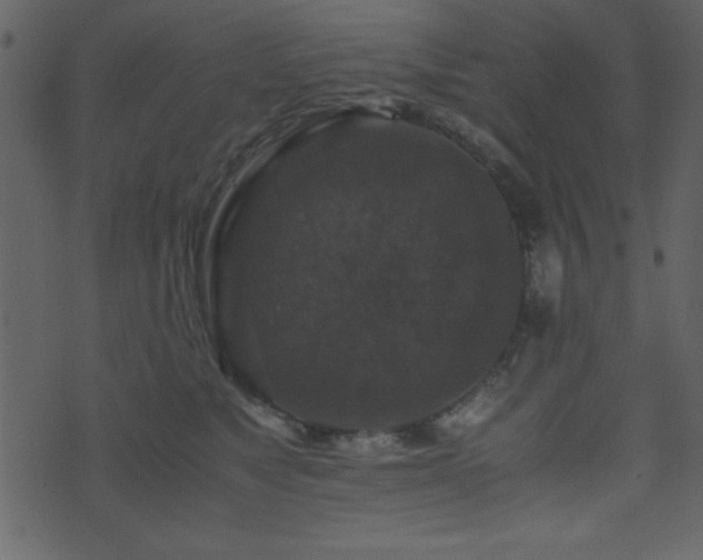 X0000071760517200606301133