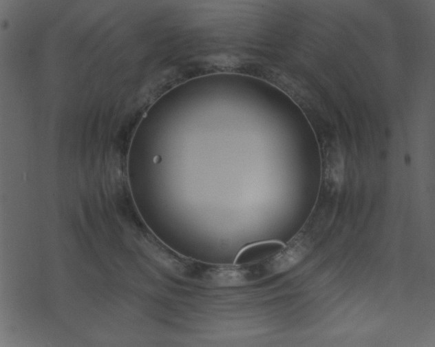 X0000071760518200606301133