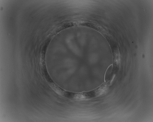 X0000071760519200606301133