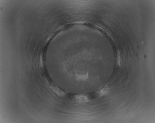 X0000071760520200606301133