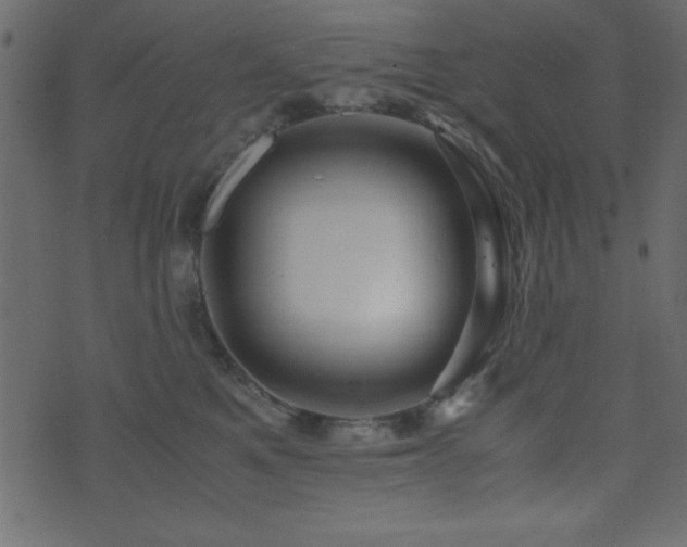 X0000071760521200606301133