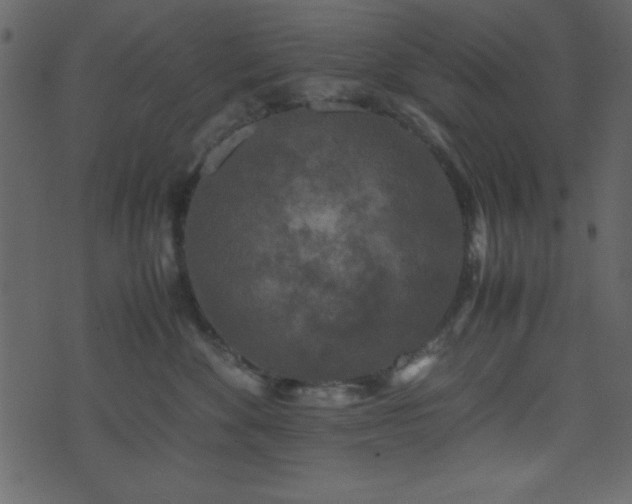 X0000071760524200606301133