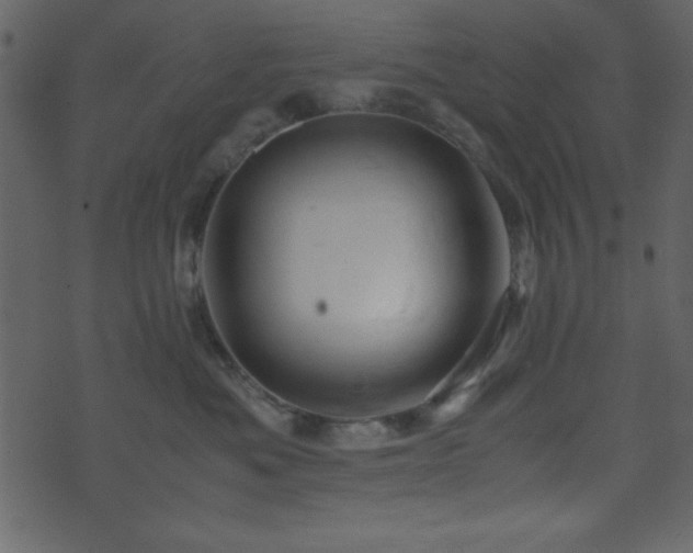 X0000071760525200606301133