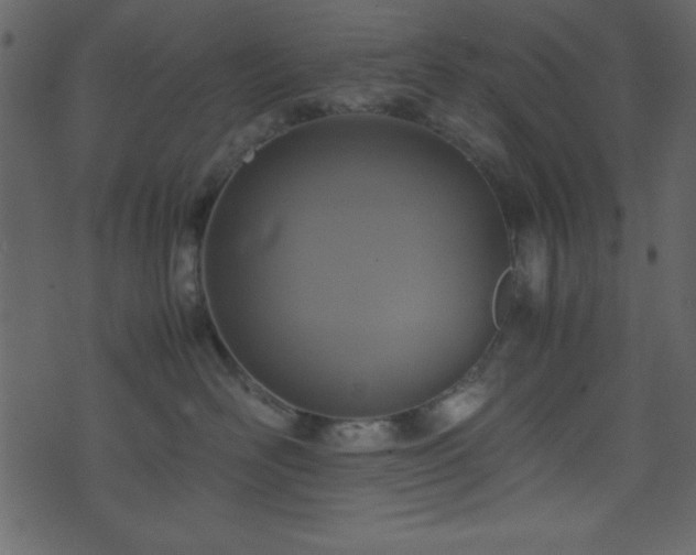 X0000071760526200606301133