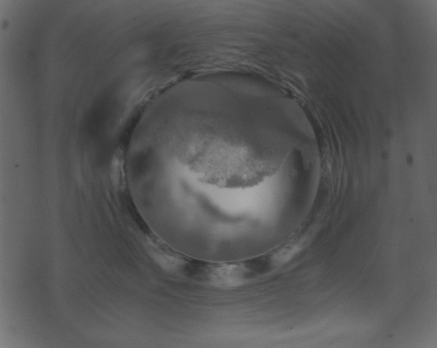 X0000071760527200606301133