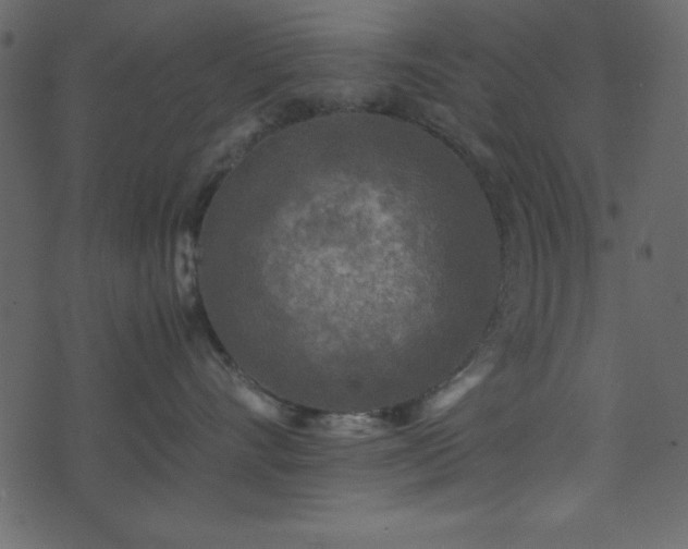 X0000071760528200606301133