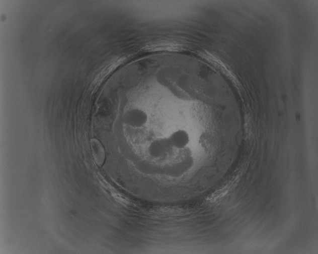 X0000071760529200606301132