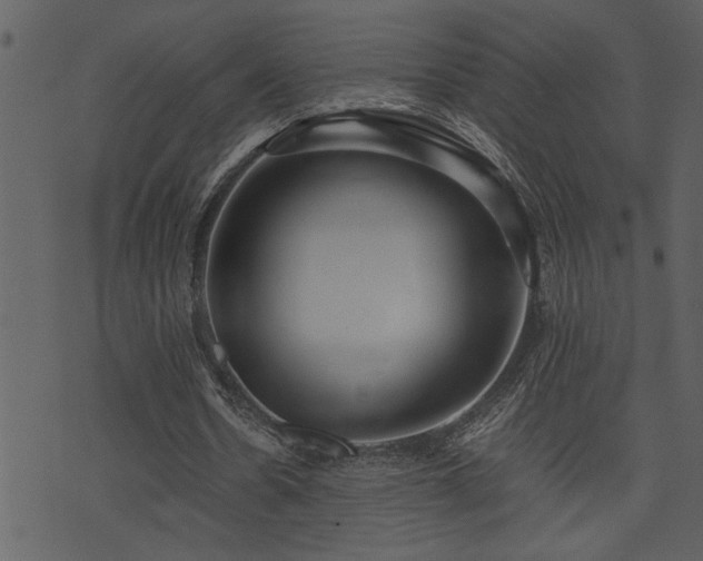 X0000071760530200606301132