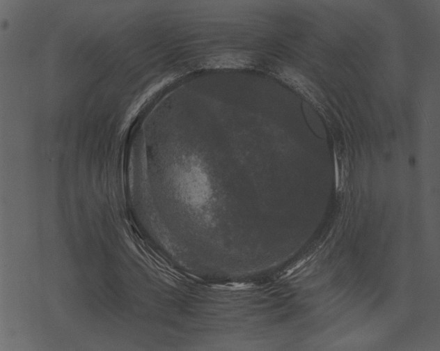 X0000071760531200606301133