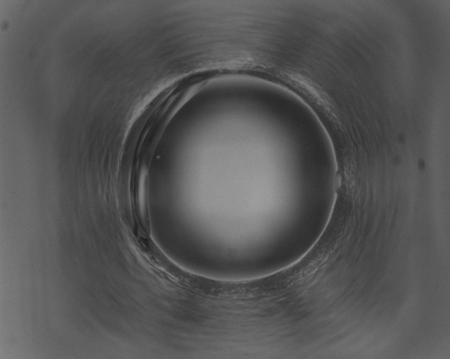 X0000071760532200606301133