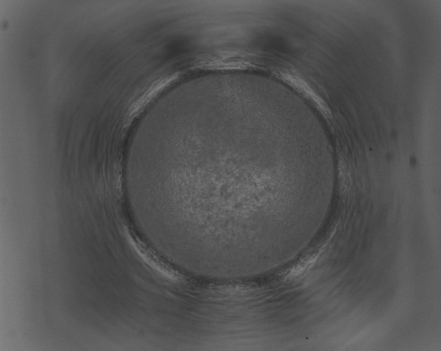 X0000071760533200606301133