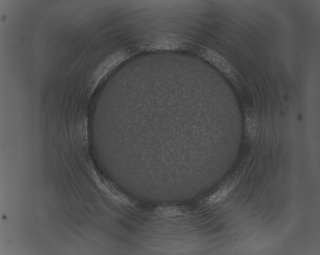 X0000071760534200606301133