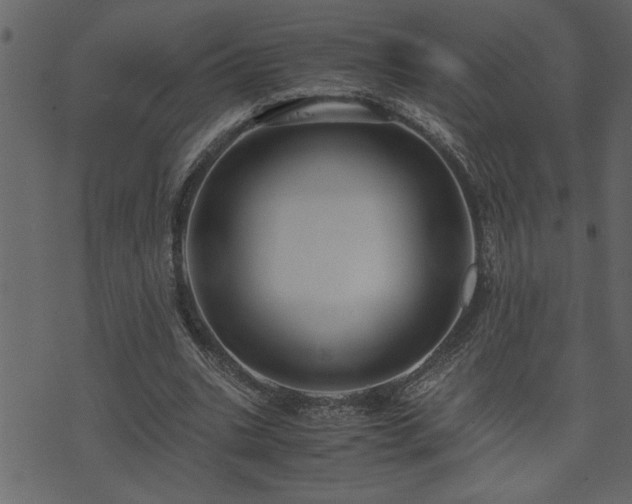 X0000071760535200606301133